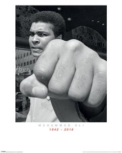 Umělecký tisk Muhammad Ali Commemorative - Punch, (60 x 80 cm)