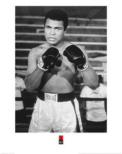 Umělecký tisk Muhammad Ali - Pose, (60 x 80 cm)