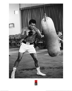 Umělecký tisk Muhammad Ali - Punch Bag