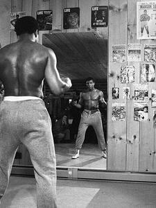 Obraz na plátně Muhammad Ali - Mirror, (60 x 80 cm)