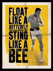 Obraz na plátně Muhammad Ali - Float Like a Butterfly, (60 x 80 cm)