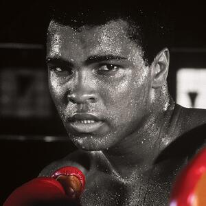 Obraz na plátně Muhammad Ali - Boxing Gloves, (60 x 80 cm)
