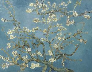 Obrazová reprodukce Květy mandloní, Vincent van Gogh