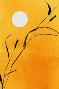 Ilustrace Sunny Days, Kubistika, (26.7 x 40 cm)