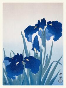 Obrazová reprodukce Blue Iris Flowers (Japandi Vintage) - Ohara Koson