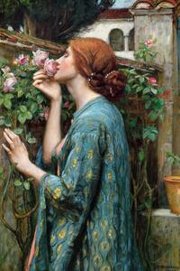 Obrazová reprodukce The Soul of The Rose (Vintage Female Portrait) - John William Waterhouse