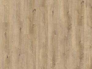 Avvio (2023) Sebastian Oak 22360