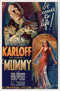 Obrazová reprodukce The Mummy (Vintage Cinema / Retro Movie Theatre Poster / Horror & Sci-Fi)