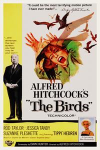 Obrazová reprodukce The Birds / Alfred Hitchcock / Tippi Hedren (Retro Movie)