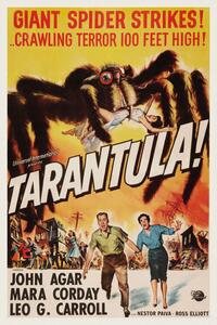 Obrazová reprodukce Tarantula (Vintage Cinema / Retro Movie Theatre Poster / Horror & Sci-Fi)