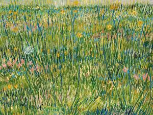 Obrazová reprodukce A Patch of Grass - Vincent van Gogh