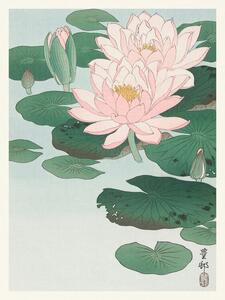 Obrazová reprodukce Water Lily / Lotus (Japandi Vintage) - Ohara Koson
