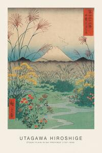 Obrazová reprodukce Ōtsuki Plain in Kai Province (Japanese Spring Landscape) - Utagawa Hiroshige