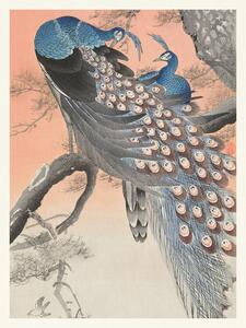 Obrazová reprodukce Two Peackcoks on a Peach Branch (Japandi Vintage) - Ohara Koson
