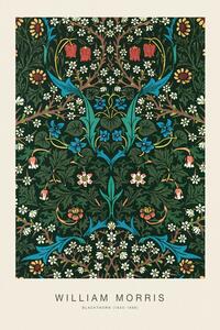 Obrazová reprodukce Blackthorn (Special Edition Classic Vintage Pattern) - William Morris