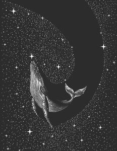 Ilustrace Starry Whale, Aliriza Cakir