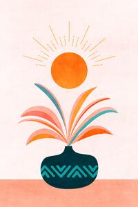 Ilustrace Sun Worship, Kristian Gallagher