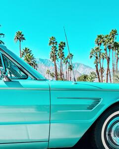 Fotografie Teal Thunderbird in Palm Springs, Tom Windeknecht