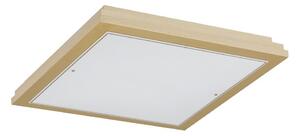 Argon 1804 - Stropní svítidlo CASERTA 4xE27/15W/230V 52x52 cm