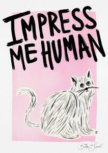 Ilustrace Cat Owner - Impress Me Human, Baroo Bloom