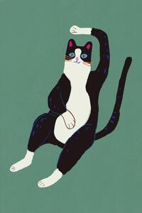 Ilustrace Black and white cat, Little Dean