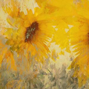 Ilustrace Sunflower, Nel Talen, (40 x 40 cm)