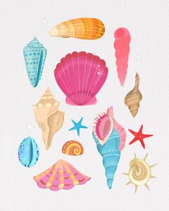 Ilustrace Seashells, Petra Lizde, (30 x 40 cm)