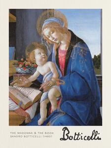Obrazová reprodukce The Madonna & The Book - Sandro Botticelli