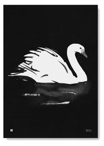 Plakát Swan velký 50x70 cm Teemu Järvi Illustrations