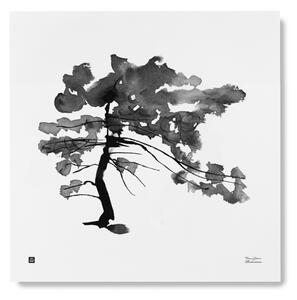 Plakát Pine Tree velký 50x50 cm Teemu Järvi Illustrations