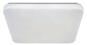 LED Stropní svítidlo OPAL LED/36W/230V 3000-6500K + dálkové ovládání