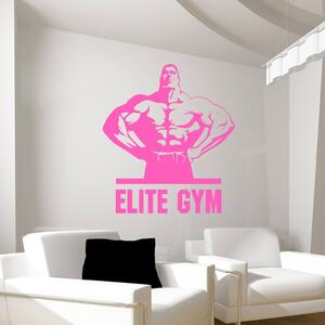 Živá Zeď Samolepka Elite Gym Barva: černá