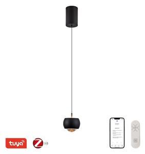 Immax NEO 07219L - LED Stmívatelný lustr DORMINE 6W/230V matná černá Tuya +DO