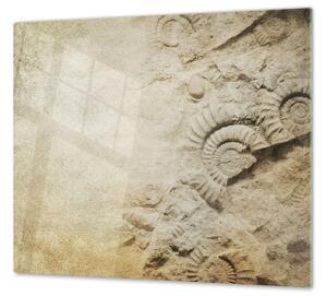 Ochranná deska vintage s fosiliemi - 50x70cm / S lepením na zeď