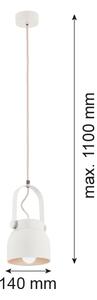 Argon 8290 - Lustr na lanku LOGAN 1xE27/15W/230V pr. 14 cm bílá