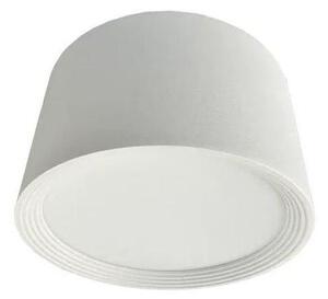 LED Bodové svítidlo LED/12W/230V 4000K pr. 10 cm bílá