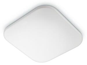 Philips - LED Stropní svítidlo MAUVE LED/12W/230V 4000K