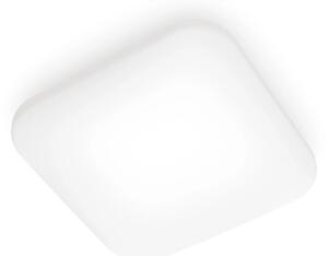 Philips - LED Stropní svítidlo MAUVE LED/12W/230V 4000K