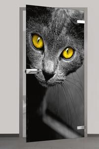 Celoskleněné dveře - černá kočka