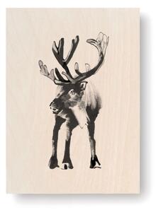 Obrázek na dřevěné kartě Reindeer 10x15 cm Teemu Järvi Illustrations