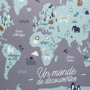 Nástěnná světová mapa pro děti z plastu, 70x50 cm