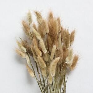 Sušené květiny Lagurus Natural COOEE Design