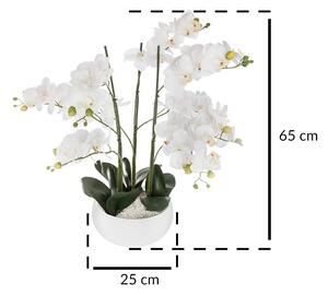 Umělá rostlina, umělá orchidej, bílý květináč, 65 cm