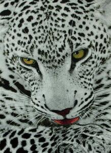 Koberec Rainbow 11122/190 leopard sivý / čierny