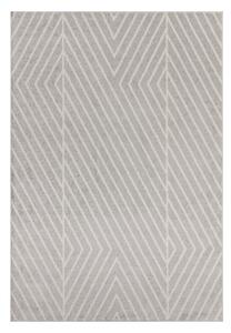 Světle šedý koberec 200x290 cm Muse – Asiatic Carpets