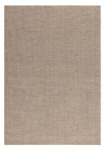 Světle hnědý koberec 200x290 cm Global – Asiatic Carpets