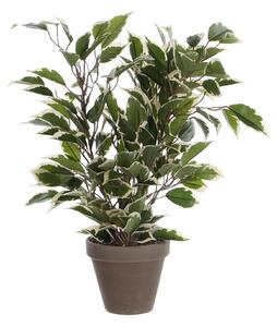 UMĚLÁ ROSTLINA 40 cm - Umělé rostliny