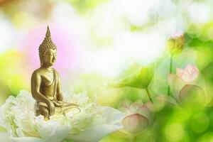 Samolepící tapeta harmonie buddhismu