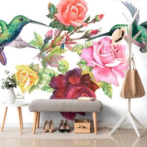 Samolepící tapeta kolibříky s květinami