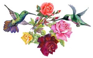 Tapeta kolibříky s květinami